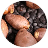 新着情報・メディア掲載