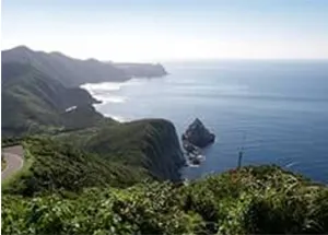 かんころを乾燥する